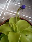     
: DSC00196.jpg
: 3
:	75.1 
ID:	3319923