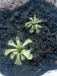     
: DSC00093.jpg
: 5
:	204.2 
ID:	3319966