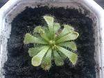     
: DSC00295.jpg
: 9
:	147.0 
ID:	3319977