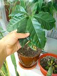     
: DSC00122.jpg
: 34
:	118.7 
ID:	3320080