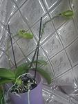     
: DSC00314.jpg
: 50
:	123.8 
ID:	3320242