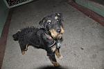     
: y_281044be.jpg
: 83
:	19.2 
ID:	3320288