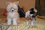     
: DSC_0100.jpg
: 32
:	71.3 
ID:	3323953