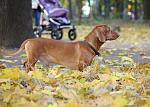     
: DSC_0087.jpg
: 27
:	205.7 
ID:	3326737
