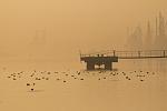     
: z_408bdde7.jpg
: 34
:	149.1 
ID:	3333766