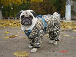     
: DSC00823.jpg
: 70
:	167.4 
ID:	3334265
