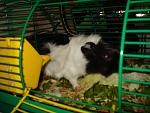     
: DSC01989.JPG
: 27
:	151.7 
ID:	3338280