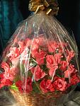     
: 1 сентября 212.jpg
: 74
:	125.2 
ID:	3338344