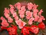     
: DSC00299.jpg
: 91
:	191.6 
ID:	3338347
