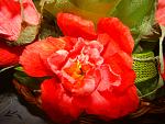     
: DSC00277.jpg
: 59
:	128.4 
ID:	3338348