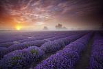     
: x_e1267bf1.jpg
: 2
:	79.1 
ID:	3338915