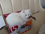     
: DSC01464.jpg
: 16
:	76.5 
ID:	3342775