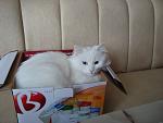     
: DSC01468.jpg
: 11
:	77.8 
ID:	3342778