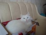     
: DSC01470.jpg
: 14
:	76.1 
ID:	3342780