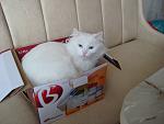     
: DSC01471.jpg
: 20
:	85.0 
ID:	3342781