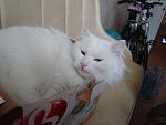     
: DSC01473.jpg
: 15
:	75.6 
ID:	3342783