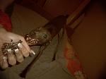     
: y_0a4b6c75.jpg
: 161
:	88.9 
ID:	3342937