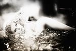     
: z_c6a1831f.jpg
: 12
:	243.2 
ID:	3342964
