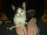     
: 101220101241.jpg
: 26
:	80.6 
ID:	3343124