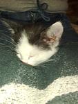     
: 121120101227.jpg
: 22
:	71.1 
ID:	3343125
