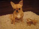     
: DSC02410.JPG
: 38
:	141.1 
ID:	3345045