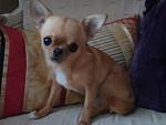     
: DSC02404.JPG
: 36
:	136.2 
ID:	3345046
