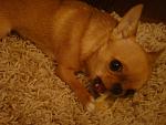     
: DSC02413.JPG
: 37
:	134.8 
ID:	3345047
