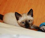     
: DSC_0095.jpg
: 241
:	74.8 
ID:	3346367