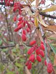     
: IMG_5813.jpg
: 41
:	60.6 
ID:	3346740