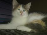     
: 29102011969.jpg
: 22
:	67.8 
ID:	3349577
