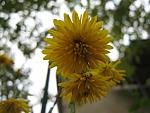     
: IMG_5808.jpg
: 10
:	52.2 
ID:	3353896