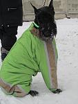     
: Кася,Соня,Нюра 17.12 (2).JPG
: 12
:	62.1 
ID:	3355837