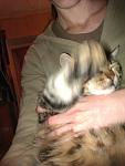     
: IMAG0142.jpg
: 14
:	67.3 
ID:	3356551