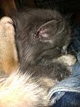     
: IMAG0143.jpg
: 15
:	131.2 
ID:	3356552