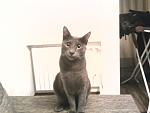     
: Фото-0386.jpg
: 28
:	68.1 
ID:	3356734