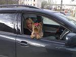     
: Копия 18112006338.jpg
: 76
:	130.5 
ID:	3357481