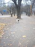     
: IMGP2275.jpg
: 41
:	130.1 
ID:	3357656