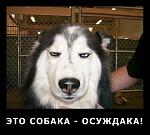     
: x_8ee5508c.jpg
: 32
:	54.5 
ID:	3360717