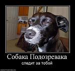     
: y_4edcfa13.jpg
: 37
:	91.6 
ID:	3360725