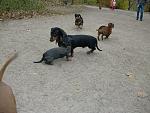     
: CIMG1989.jpg
: 36
:	161.9 
ID:	3363730