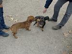     
: CIMG1988.jpg
: 28
:	192.9 
ID:	3363735