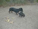     
: CIMG1990.jpg
: 27
:	197.5 
ID:	3363741