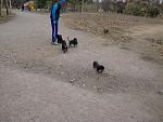     
: CIMG2032.jpg
: 16
:	192.1 
ID:	3363833