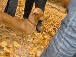     
: CIMG2065.jpg
: 12
:	202.9 
ID:	3363972