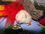     
: DSC00496.jpg
: 19
:	235.7 
ID:	3365062