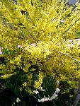     
: S4022997.jpg
: 33
:	154.1 
ID:	3372871