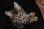     
: DSC_0488.jpg
: 30
:	101.8 
ID:	3373222