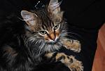     
: DSC_0485.jpg
: 38
:	112.5 
ID:	3373224