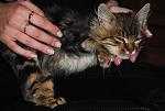     
: DSC_0465.jpg
: 29
:	107.8 
ID:	3373227