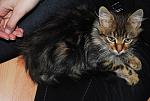     
: DSC_0484.jpg
: 36
:	142.9 
ID:	3373229